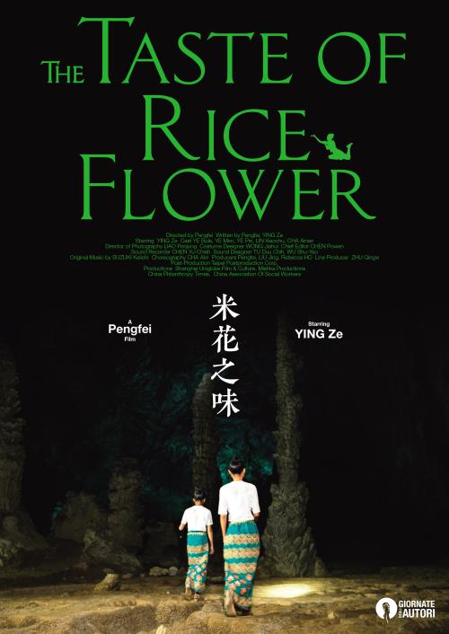 办假的车辆行驶证
